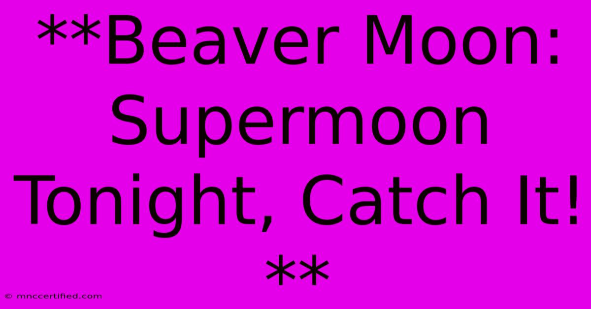 **Beaver Moon: Supermoon Tonight, Catch It!**