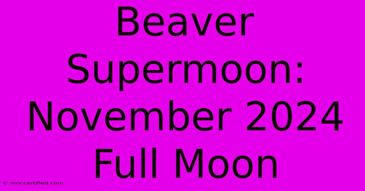 Beaver Supermoon: November 2024 Full Moon