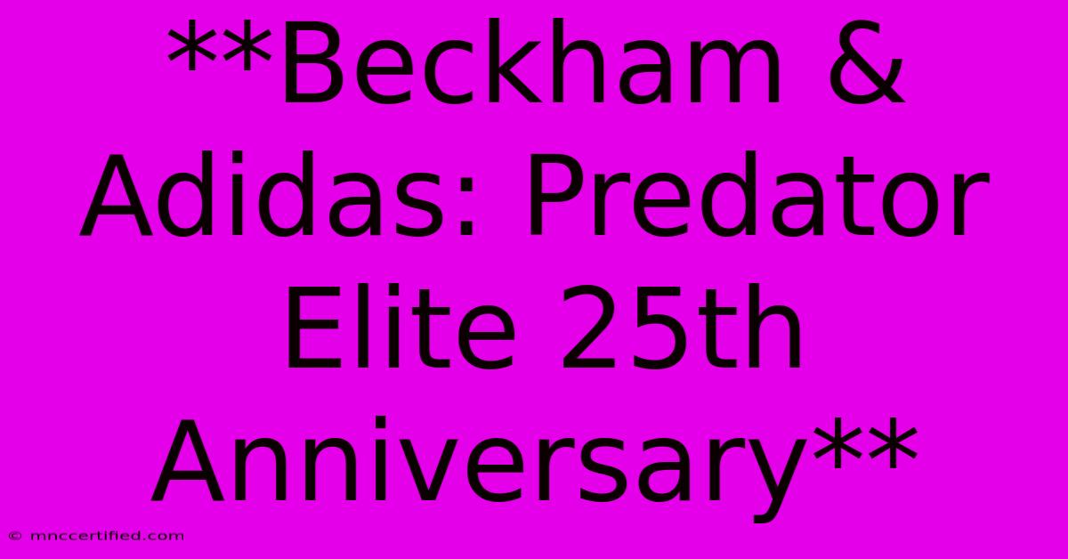 **Beckham & Adidas: Predator Elite 25th Anniversary**