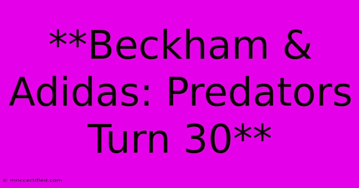 **Beckham & Adidas: Predators Turn 30** 