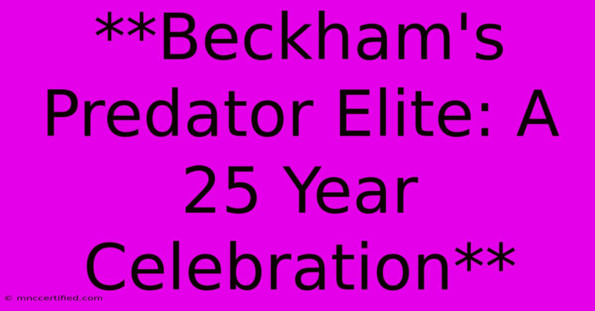 **Beckham's Predator Elite: A 25 Year Celebration**