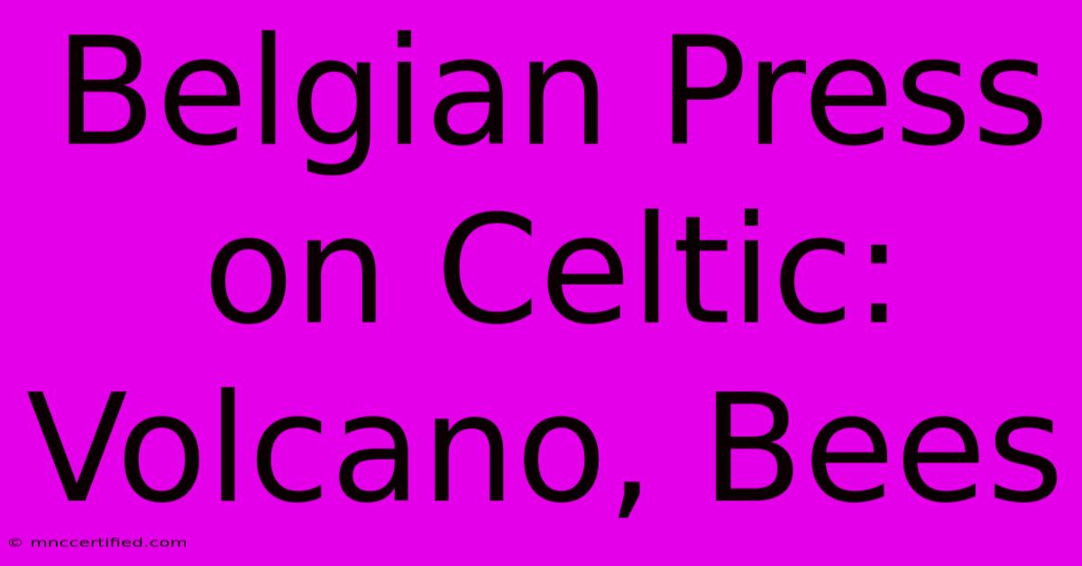 Belgian Press On Celtic: Volcano, Bees