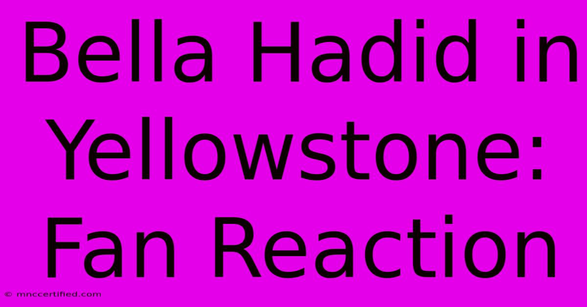 Bella Hadid In Yellowstone: Fan Reaction