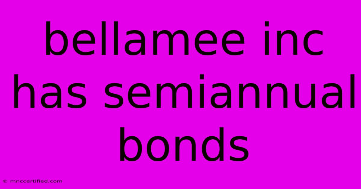 Bellamee Inc Has Semiannual Bonds