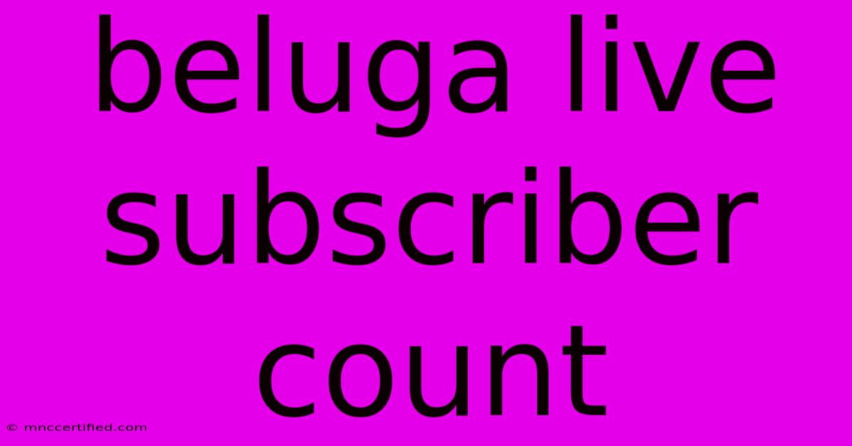 Beluga Live Subscriber Count