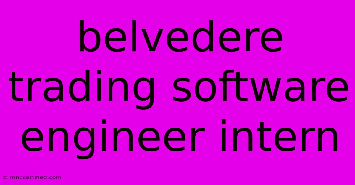 Belvedere Trading Software Engineer Intern