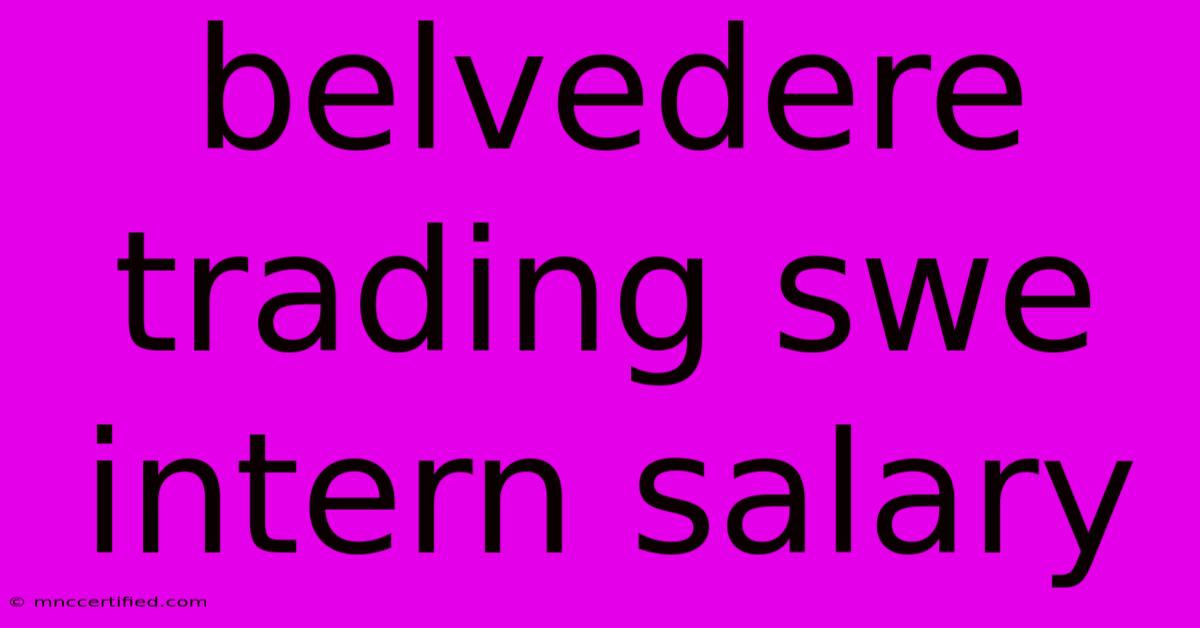 Belvedere Trading Swe Intern Salary