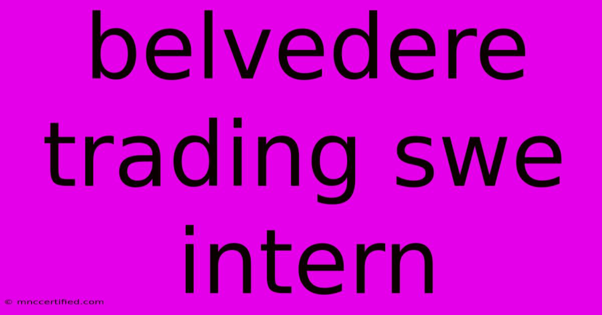 Belvedere Trading Swe Intern