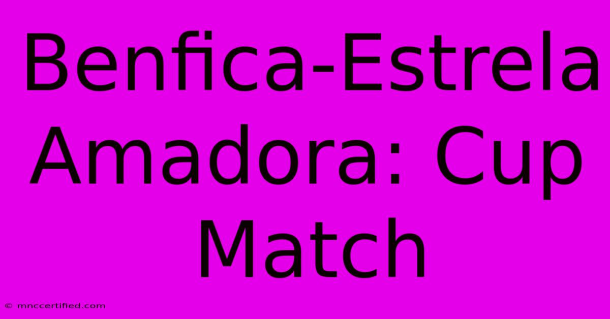 Benfica-Estrela Amadora: Cup Match