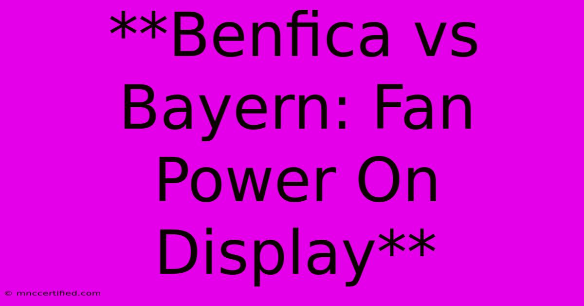 **Benfica Vs Bayern: Fan Power On Display**