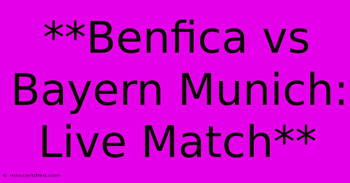 **Benfica Vs Bayern Munich: Live Match** 