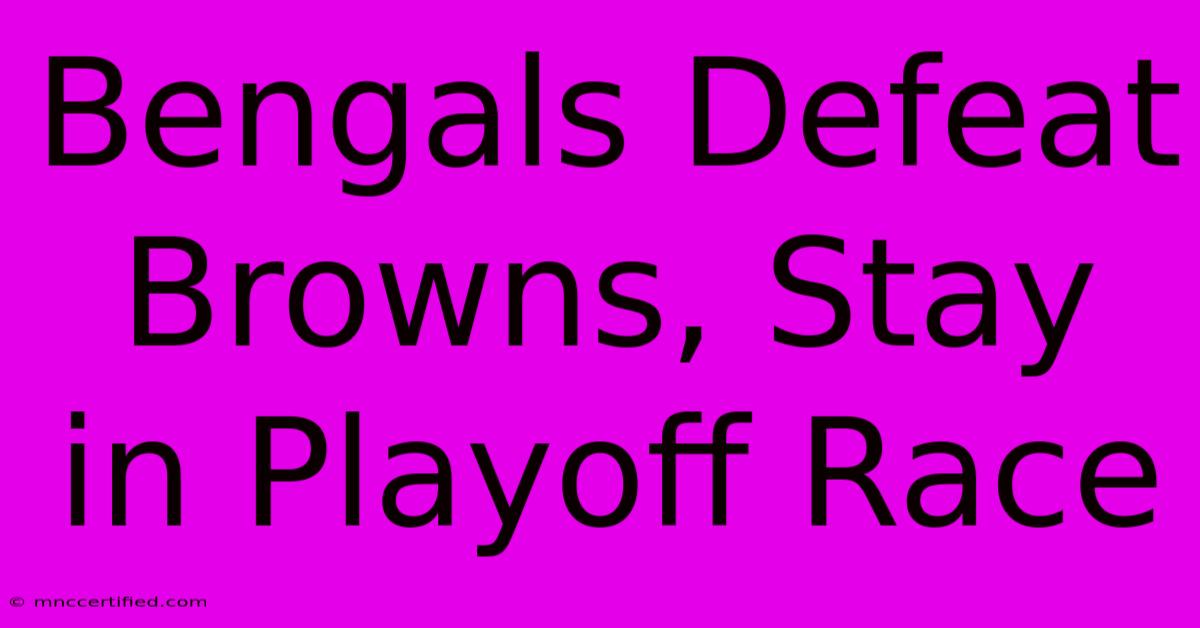 Bengals Defeat Browns, Stay In Playoff Race