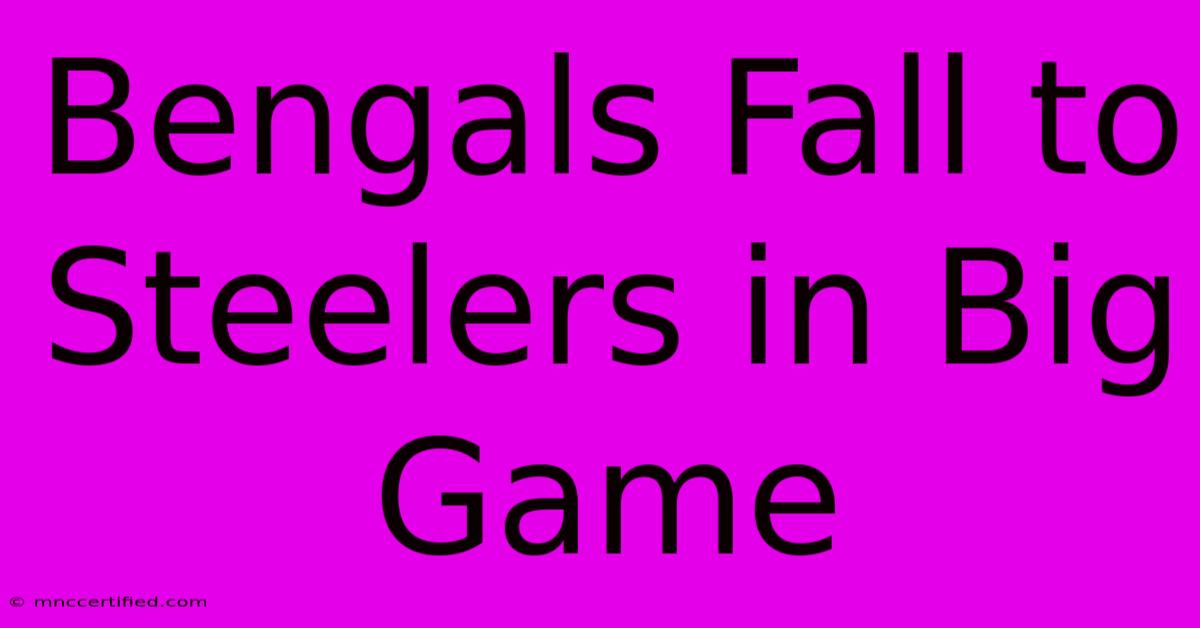 Bengals Fall To Steelers In Big Game