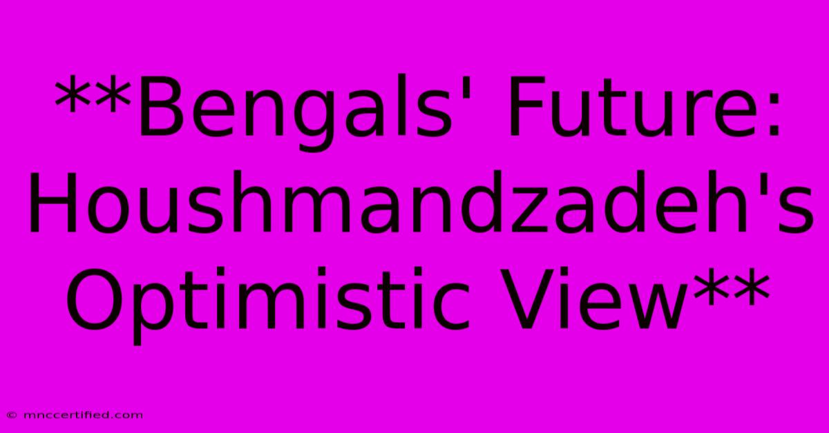 **Bengals' Future: Houshmandzadeh's Optimistic View**