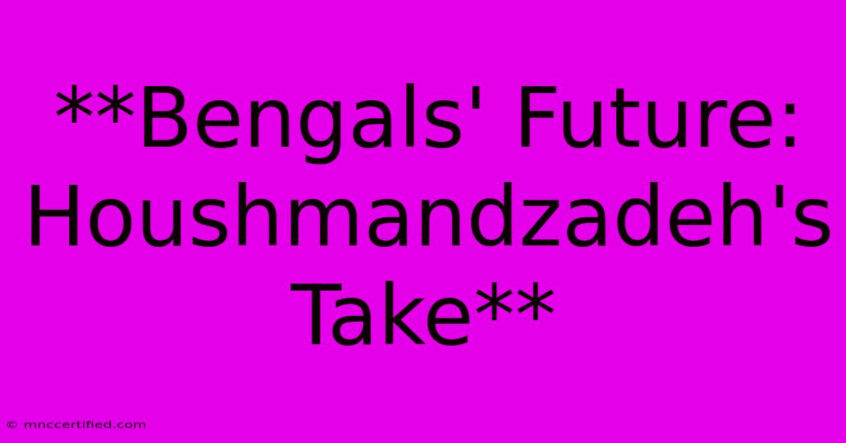 **Bengals' Future: Houshmandzadeh's Take** 