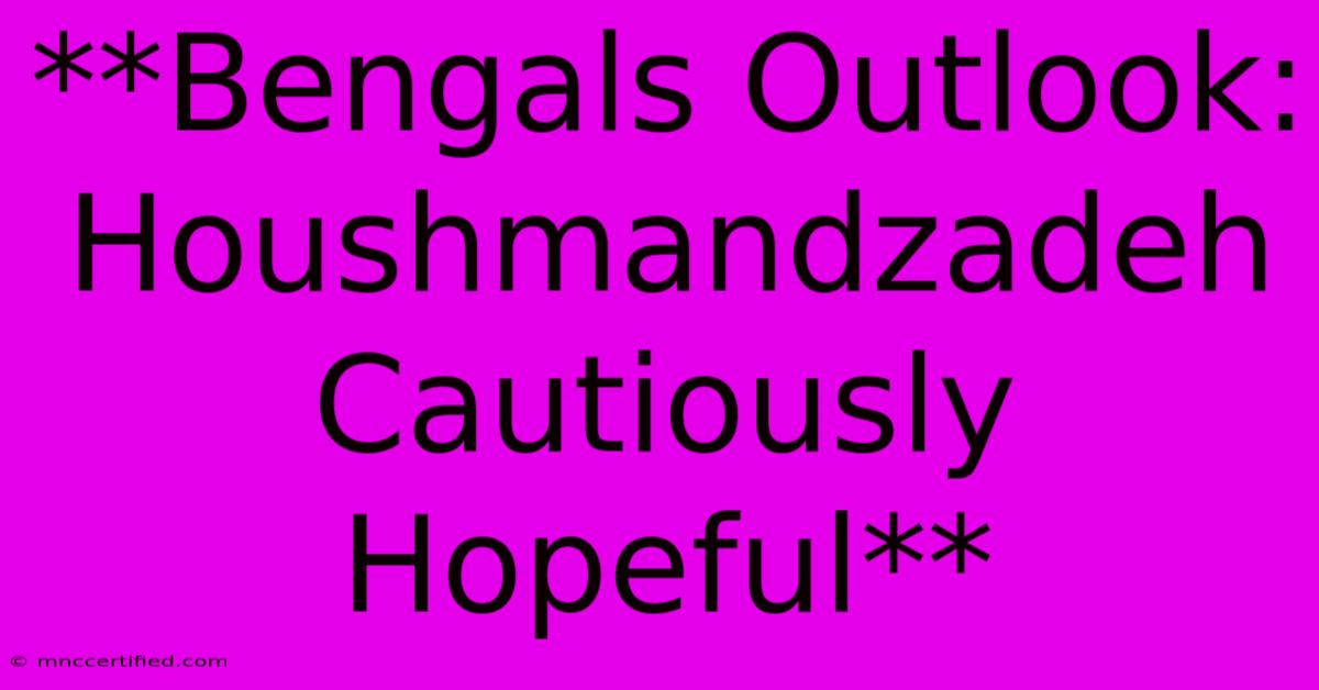 **Bengals Outlook: Houshmandzadeh Cautiously Hopeful**