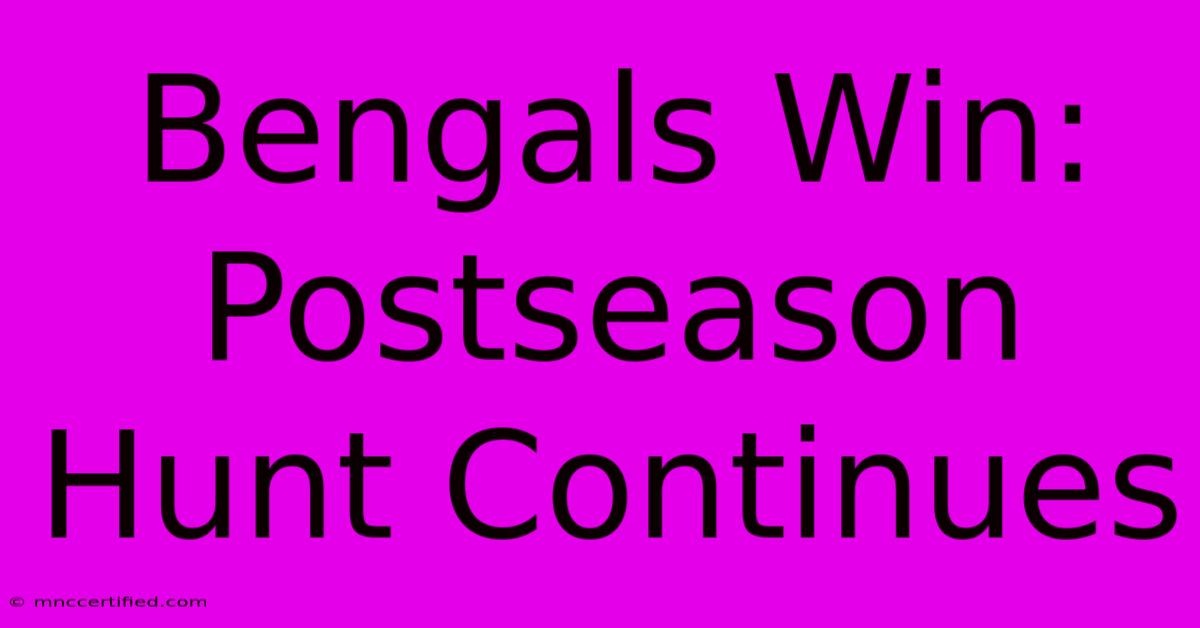 Bengals Win: Postseason Hunt Continues