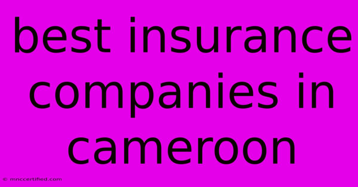 Best Insurance Companies In Cameroon