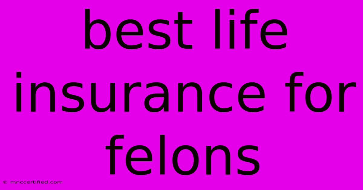 Best Life Insurance For Felons