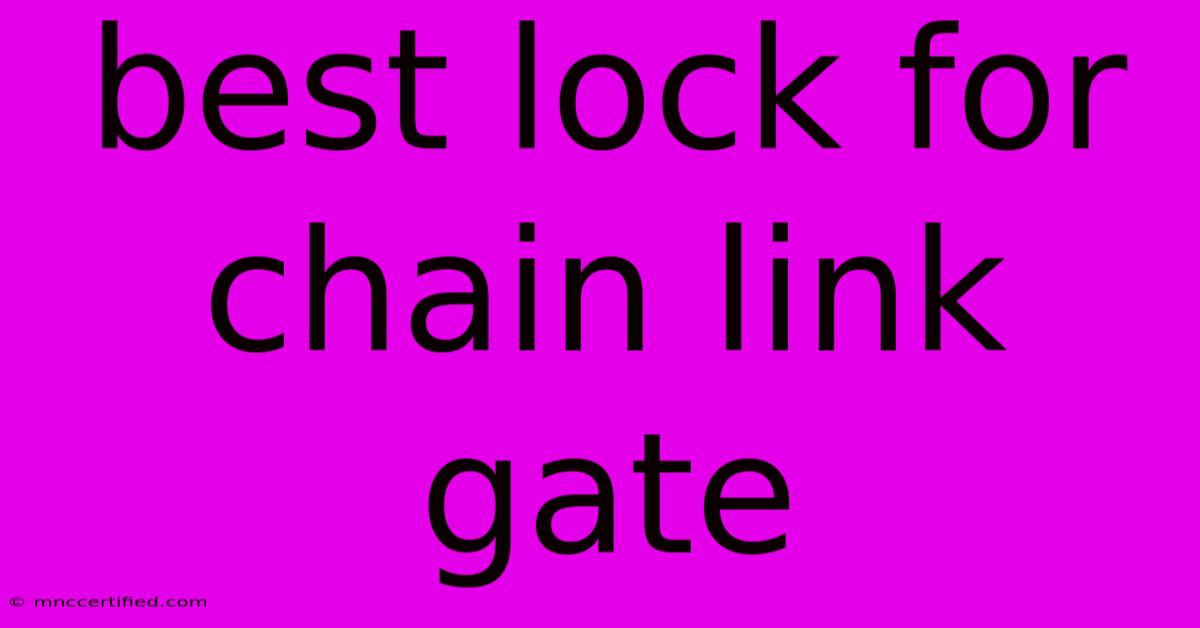 Best Lock For Chain Link Gate