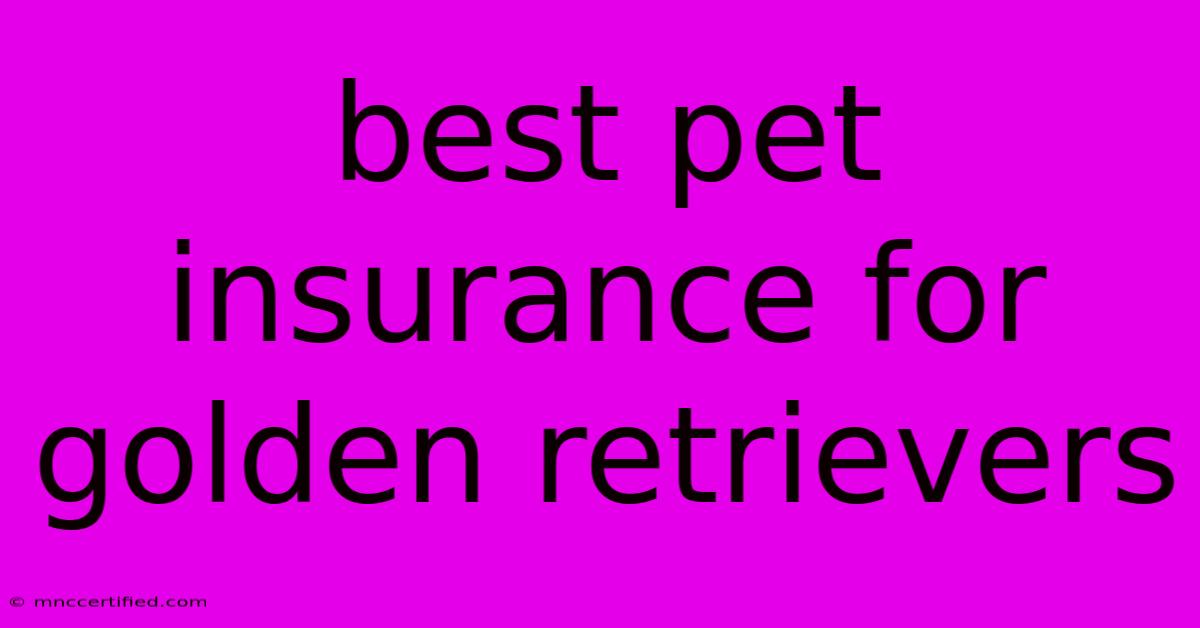 Best Pet Insurance For Golden Retrievers