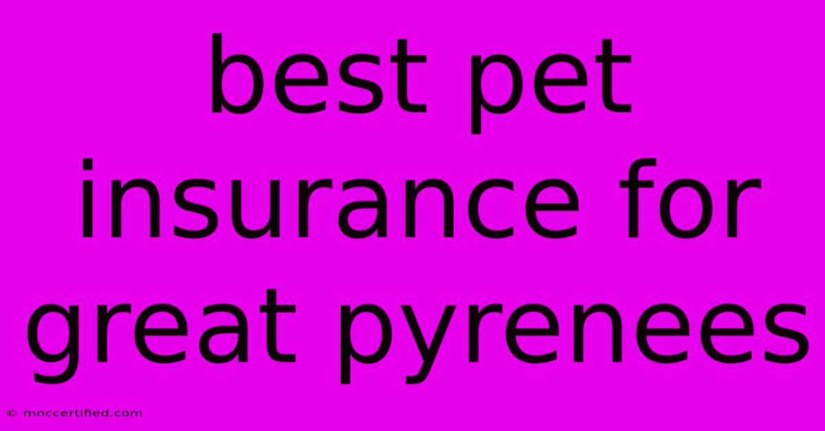 Best Pet Insurance For Great Pyrenees