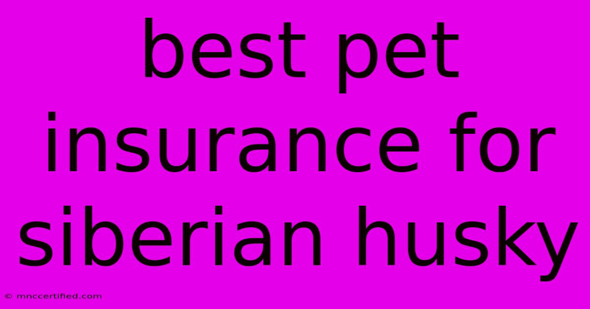 Best Pet Insurance For Siberian Husky