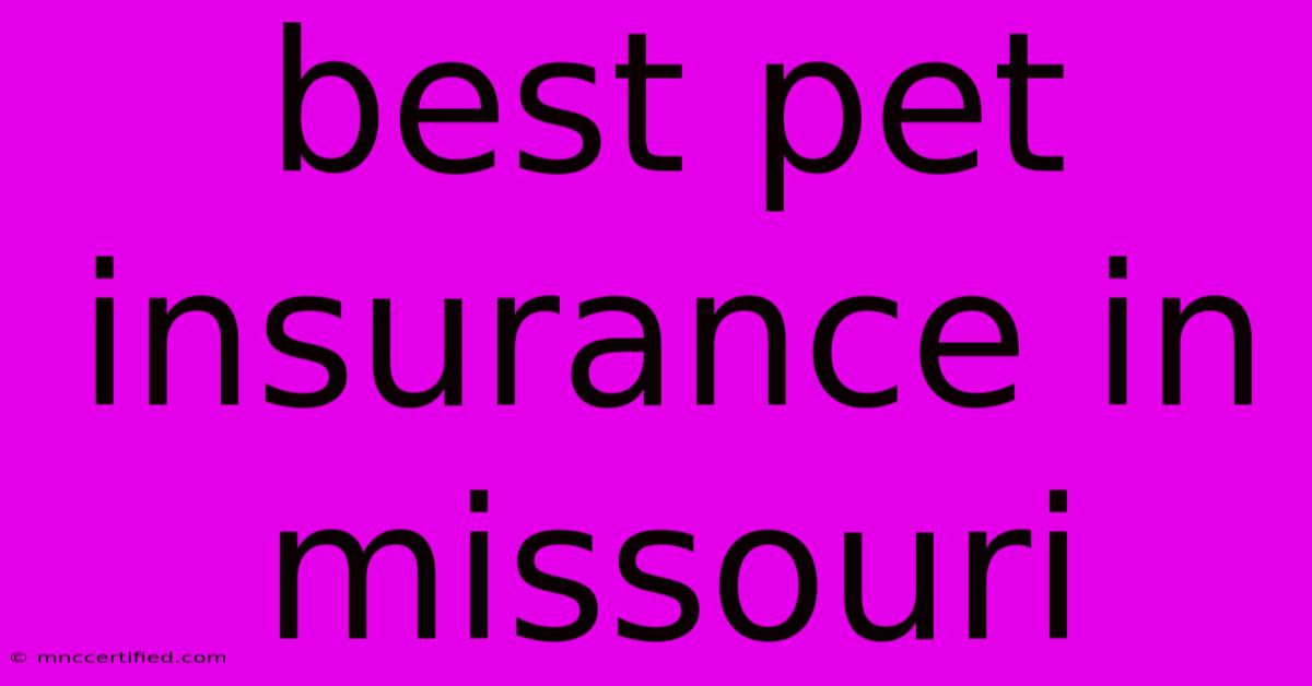 Best Pet Insurance In Missouri