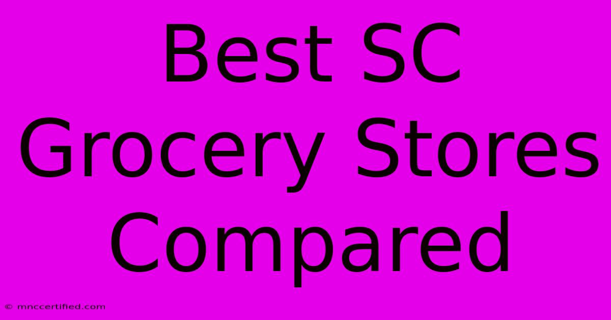 Best SC Grocery Stores Compared