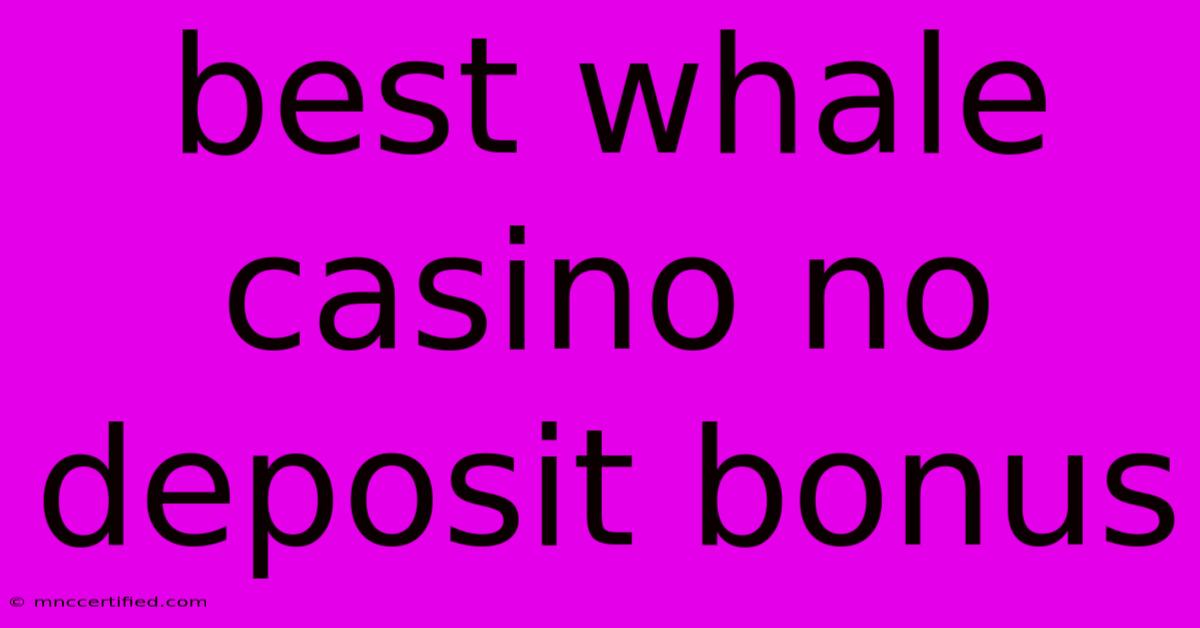 Best Whale Casino No Deposit Bonus