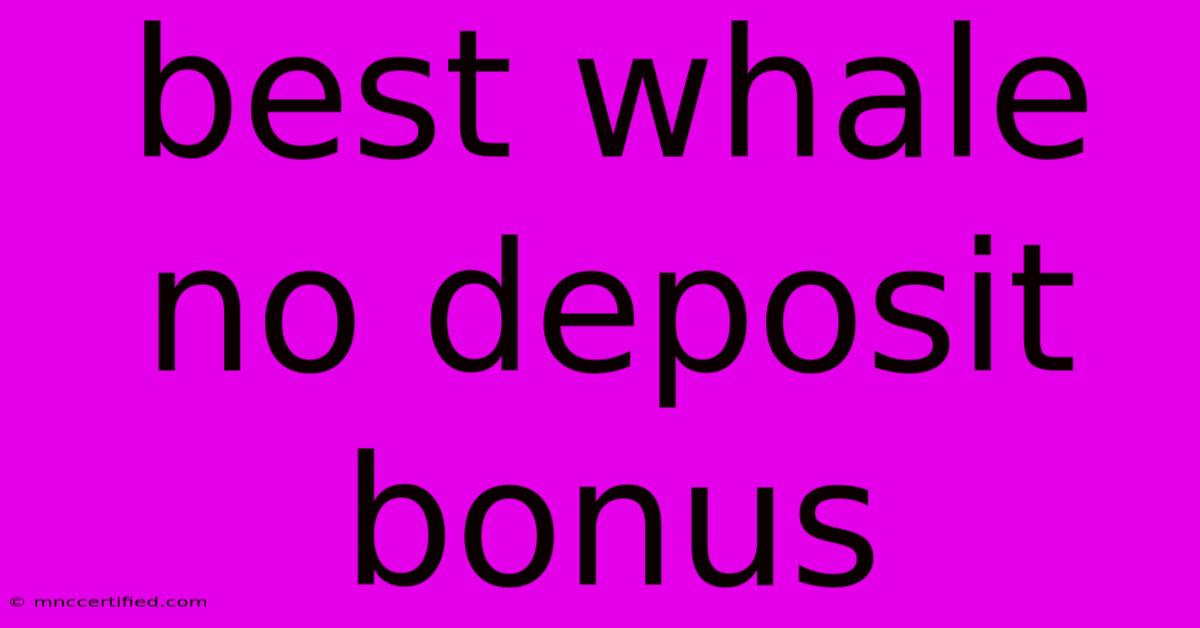 Best Whale No Deposit Bonus