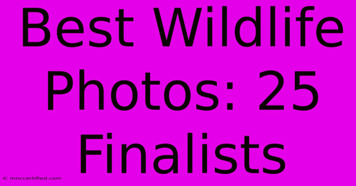 Best Wildlife Photos: 25 Finalists