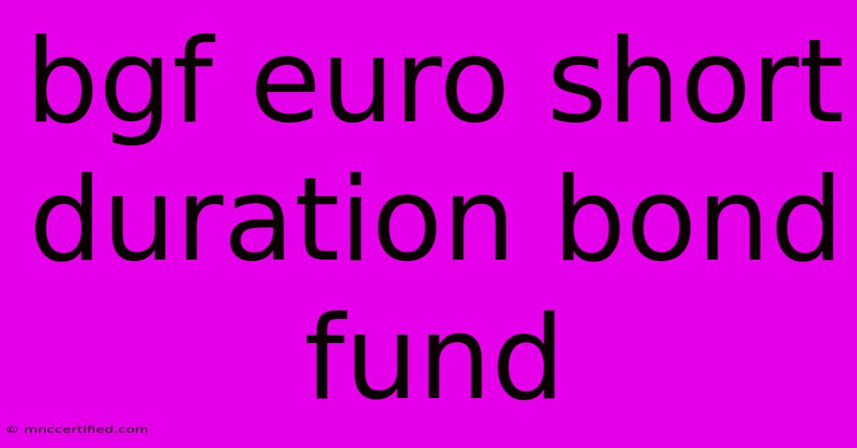 Bgf Euro Short Duration Bond Fund