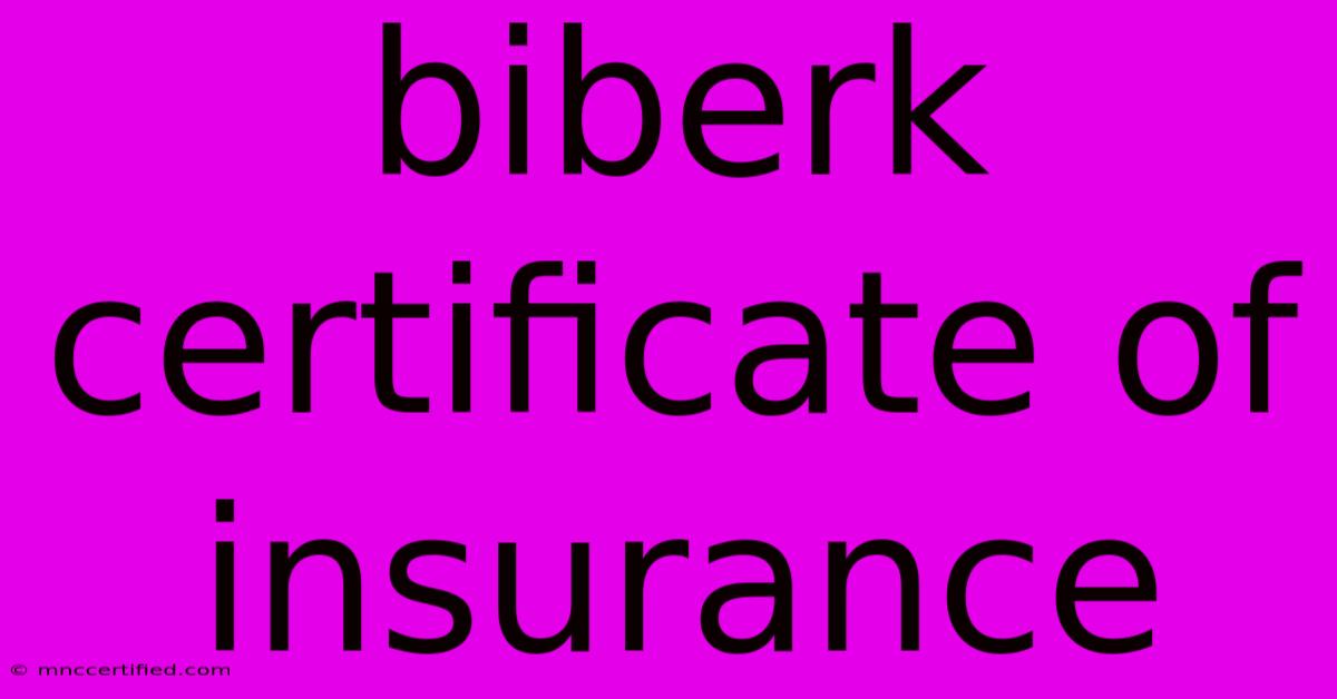 Biberk Certificate Of Insurance