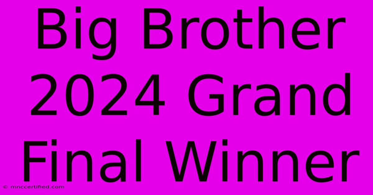 Big Brother 2024 Grand Final Winner