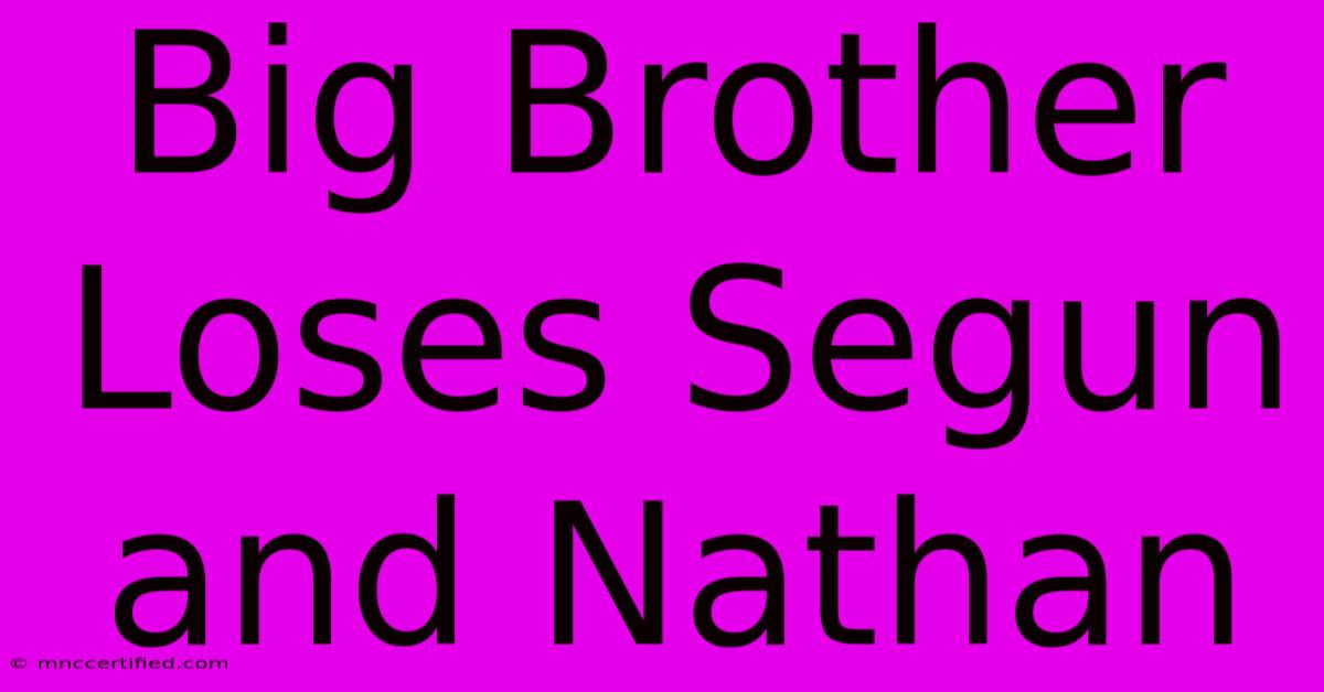 Big Brother Loses Segun And Nathan