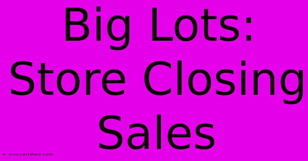 Big Lots: Store Closing Sales