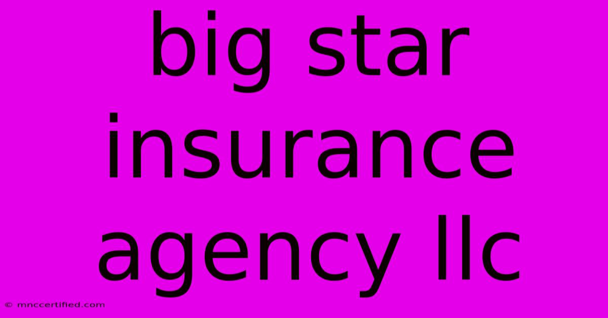 Big Star Insurance Agency Llc