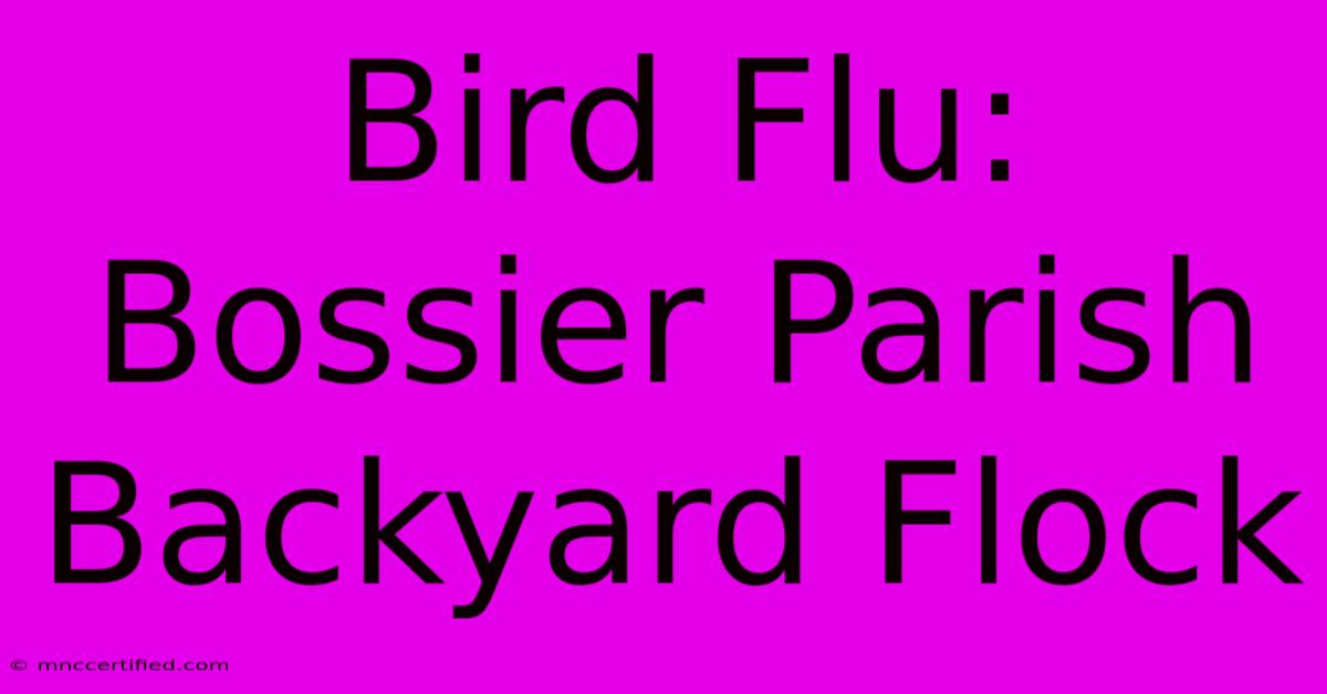 Bird Flu: Bossier Parish Backyard Flock