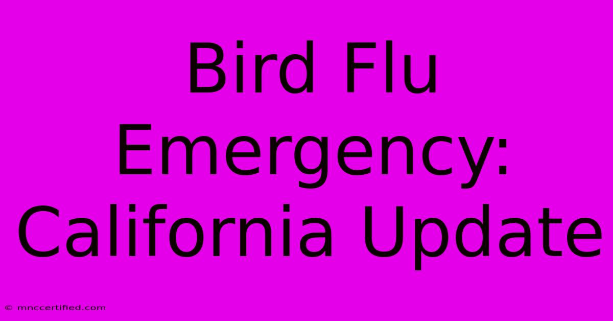 Bird Flu Emergency: California Update