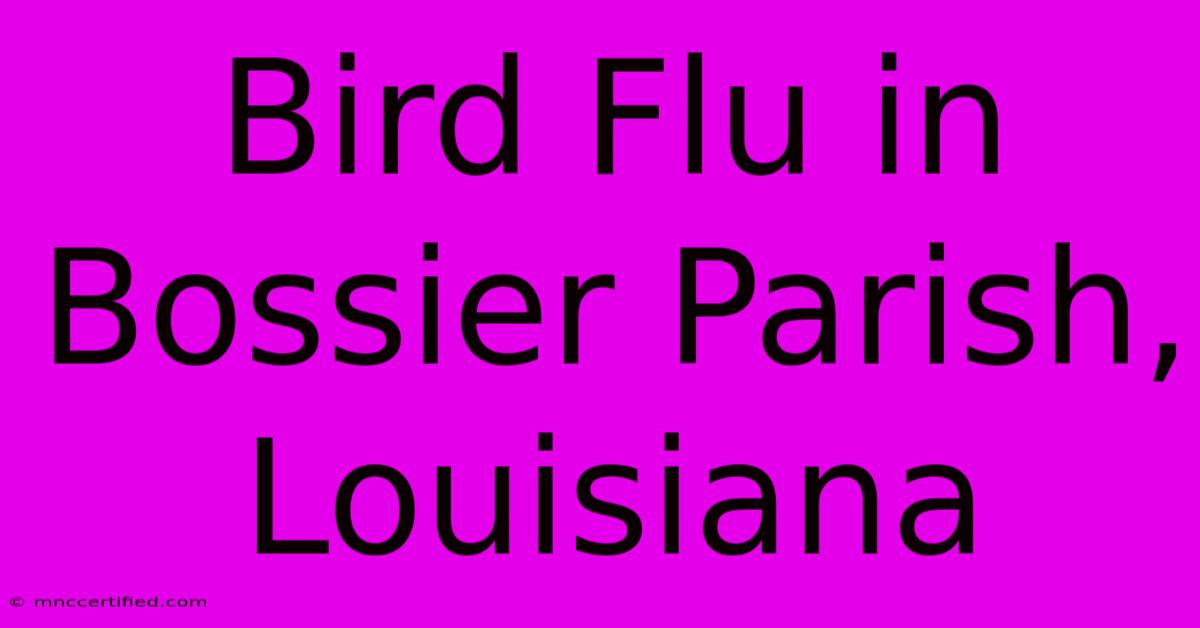 Bird Flu In Bossier Parish, Louisiana