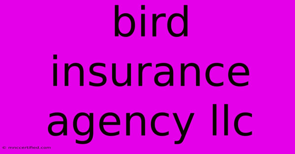 Bird Insurance Agency Llc