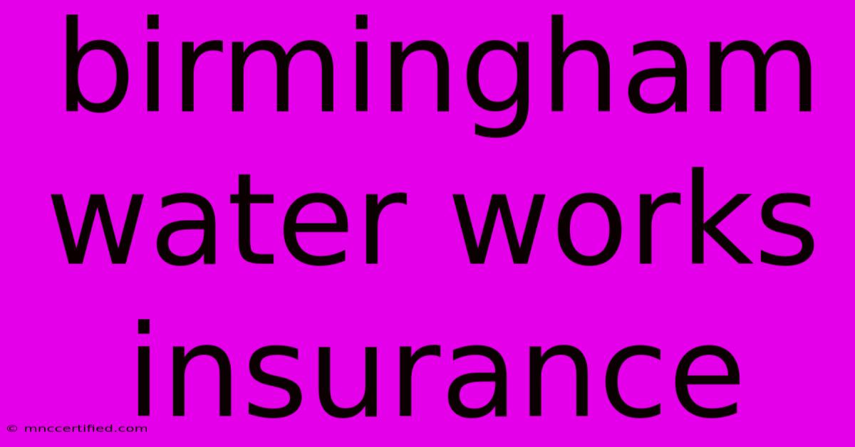 Birmingham Water Works Insurance