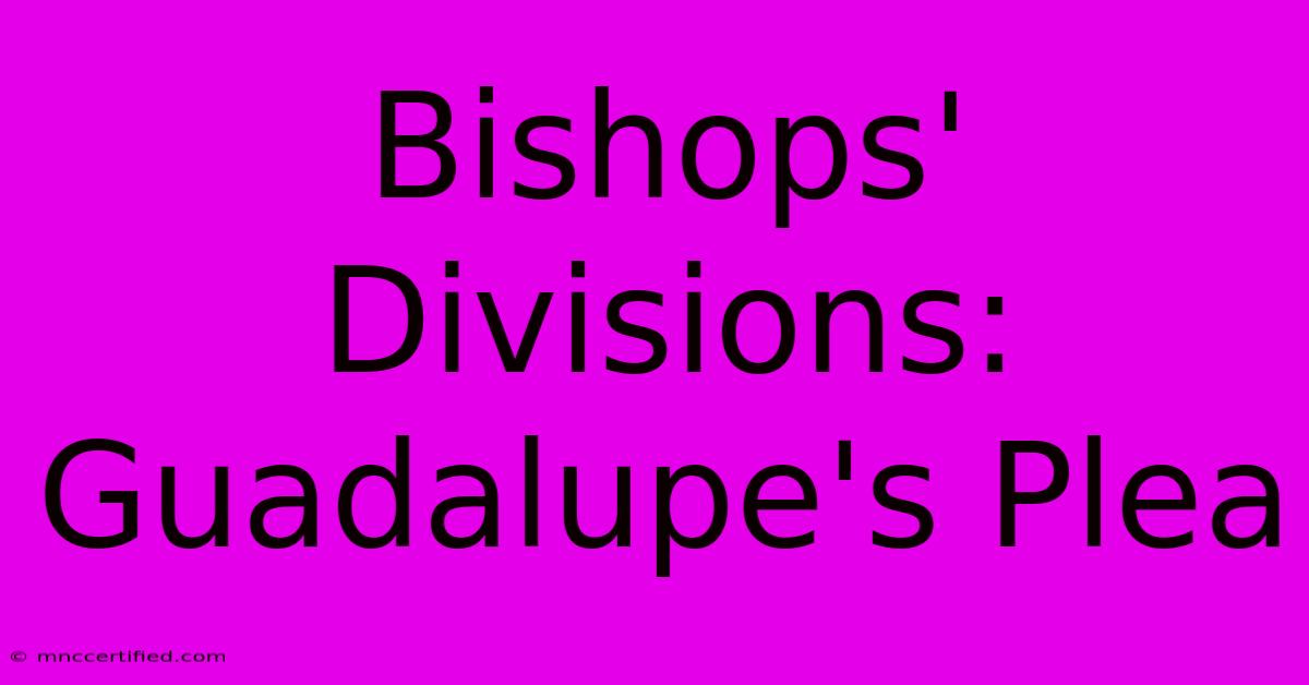 Bishops' Divisions: Guadalupe's Plea