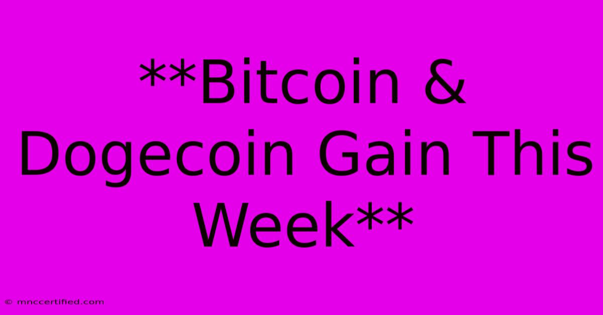 **Bitcoin & Dogecoin Gain This Week**