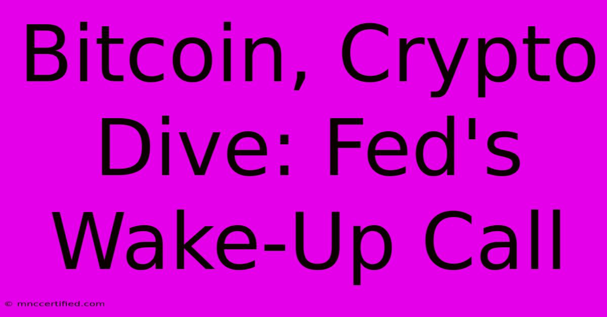 Bitcoin, Crypto Dive: Fed's Wake-Up Call