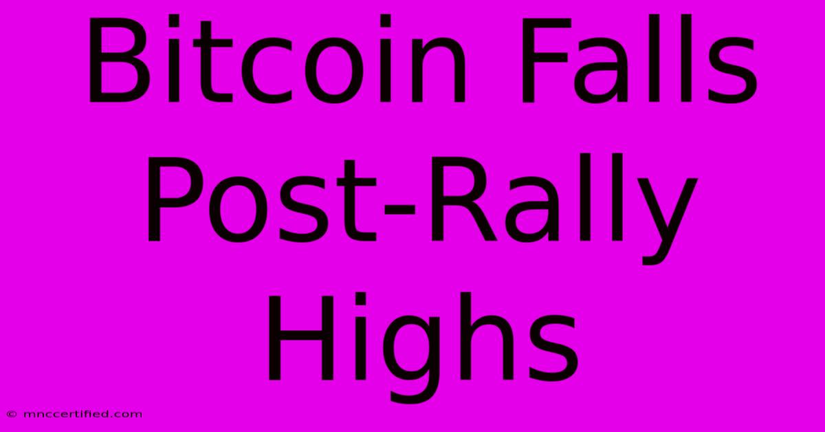 Bitcoin Falls Post-Rally Highs