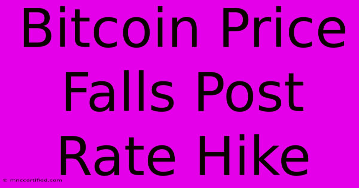 Bitcoin Price Falls Post Rate Hike