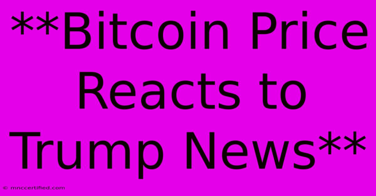 **Bitcoin Price Reacts To Trump News** 