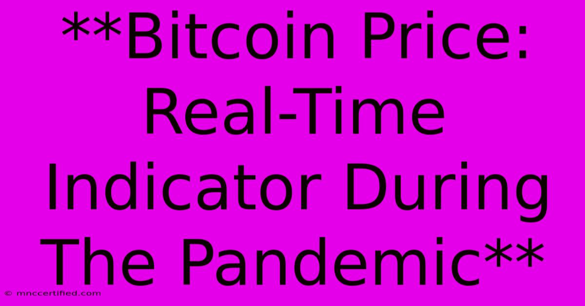 **Bitcoin Price: Real-Time Indicator During The Pandemic**